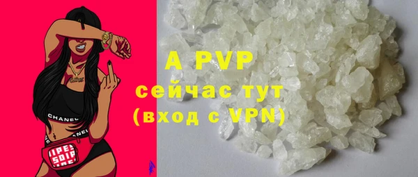 гашик Михайлов