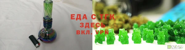 гашик Михайлов