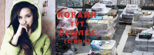 гашик Михайлов