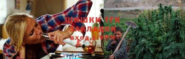 не бодяженный Бердск