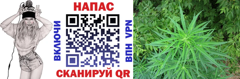 Бошки марихуана Bruce Banner Очёр